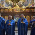 Слава Иконе Богородице Тројеручице